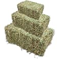 View of Hay for Rabbits, 4kg Boxed Hay, Long Stem Green Timothy Hay, High Fibre ...