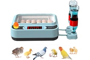OUYOLAD Egg Incubators for Hatching Eggs Automatic Turning Incubator Brooding Chicken Incubator Home Incubator Farm Egg Incubator 24 Eggs
