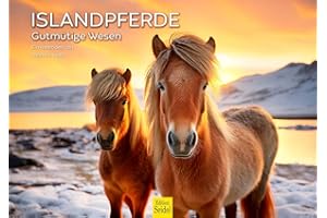 ‎EDITION SEIDEL Edition Seidel Premium Kalender Islandpferde Gemütliche Wesen 2024 Format DIN A3 Wandkalender Pferdekalender Isländer Island Tiere Pony Stute Hengst Fohlen Melanie Viola