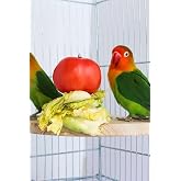 Alyones &Ccedil;eyrek Daire &Ccedil;ivili Kuş Hamster Yemek Mama T&uuml;neği, Uş Mama Tutucu, Doğal Ahşap Kuş Kafesi T&uuml;neği