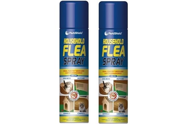 carpet shampoo with flea killer