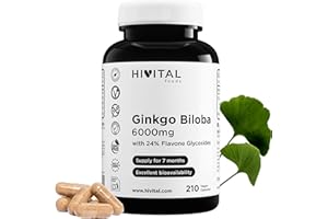 HIVITAL FOODS Ginkgo Biloba 6000 mg. 210 vegane Kapseln für eine 7-monatige Kur. Der beste konzentrierte Naturextrakt 50:1 mit 24% Flavonoiden und 6% Terpenen. Hergestellt von HIVITAL