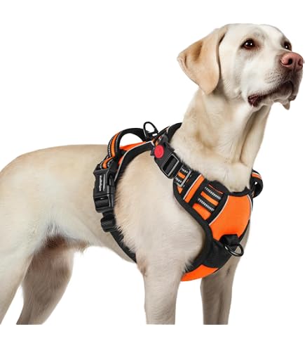 leuchtendes halsband fr hunde LED Hundehalsband leuchtendes Halsband aufladbar akku Fellnasenstube