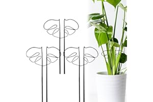 FONDUO Pflanzenstütze Ringkäfige für Gartendeko, Metall Garten Monstera Pflanzenhalter, Pflanzring für Rankhilfe Zimmerpflanzen für Gemüse Tomaten Pfingstrosen Rosen Monstera Blumen (Schwarzx3)