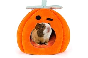 SBAYOOL Halloween Kürbis Meerschweinchen Bett, Niedlich Und Warmes Meerschweinchen Kuschelhöhle, Meerschweinchenhaus Mit Abnehmbarer Matte, Geeignet Für Igel Chinchillas 21×21×21cm