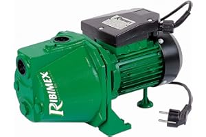 RIBIMEX Ribiland 04201 Pompe à Eau de Surface Vert 1180 W