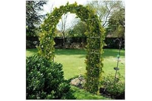 DAFUTA 2.4m Metal Garden Arch Heavy Duty Strong Tubular Rose Climbing Plants Archway