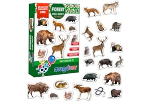 MAGDUM magnesy na lodówkę dla dzieci, zwierzęta leśne – 20 dużych magnesów – magnesy na lodówkę dla małych dzieci – duży magnes - magnesy do zabawy do białych tablic