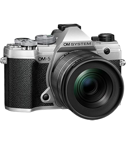 Olympus Om-D E-M10 Mark II Appareil Photo sans Miroir avec