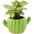 Leafy Tales Ceramic Cactus Shape Planter, Small Size - Light Green, 1 Piece