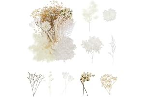 DATEFUN Getrocknete Blumen - Trockenblumen zum Basteln DIY - Natürliche Getrocknete Gepresste Blumen für Harz Scrapbooking Karten Machen