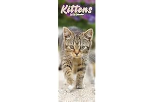 Kittens Slim 2026 Calendar | Slimline Wall Calendar | Cat Gift | Plastic Free Packaging | by Avonside Publishing