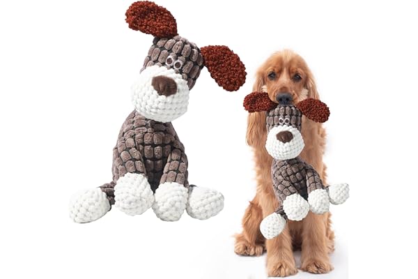 Générique Indestructible Jouet Chien en Peluche 2 en 1 Ouet Interactif Indestructiblepour Chiens avec Squeaker, Multifonctions Fabriqué en Coton Doudou Chiens (#03)
