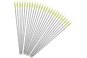 iMeshbean Fieberglaspfeile Pfeile für bogenschießen, 25 Stück Bogenpfeile Erwachsene 31 Zoll Fiberglaspfeil Jagdpfeile für Bogen, Recurvebogen, Sportbogen