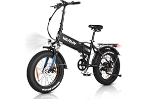 VARUN Bicicleta Eléctrica Plegable, 20"*4.0" Fat Tire Bicicleta Eléctrica Adulto con Batería Extraíble 48V 13Ah, Autonomía 100KM, Bici Electrica con Motor 250W, E-Bike con 7 Velocidades, Pantalla LCD