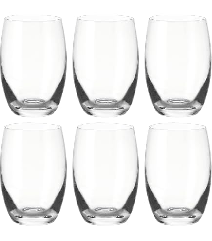 Lot De 6 Verres à Whisky Leonardo Daily 300 Ml – Verre Teqton Ultra Résistant Lave-Vaisselle