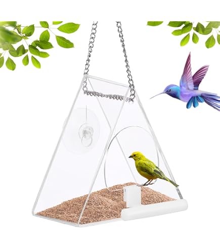 BYZESTY Mangeoire Oiseaux Fenêtre Transparente - Avec Ventouses Puissantes Pour Observer Les Oiseaux De Près