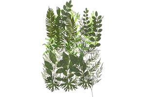 Milisten Dried Leaves Dried Flowers Real Dried Pressed Leaves Mixed Multiple Colorful Dry Leaves Flowers for Resin Art Craft DIY Accessories ( Style 1)