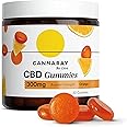 Cannaray CBD Gummies, 300mg | Regular Strength | Delicious Natural Orange | Vegan, THC-Free & GMO-Free (30 Gummies)