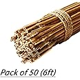 MUSAN Large 2FT 3FT 4FT 5FT 6FT Natural Garden Bamboo Canes - Heavy Duty Strong Plant Support Poles Thick Sticks - Indoor & Outdoor Plants Stakes Wooden Screening Wood Trellis (50, 6FT (10-18mm))