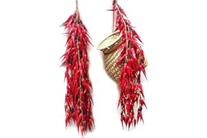 FuyoSegen Paquete de 5 Verduras Artificiales de imitación, ajo, Chile Rojo, pimientos Artificiales, Cuerda Colgante para decoración de Pared, hogar, Cocina, Fiesta, Accesorios de fotografía (Chile)