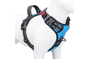 PHOEPET No Pull Dog Harnesses for Small Dogs Reflective Adjustable Front Clip Vest with Handle 2 Metal Rings 3 Buckles [Easy to Put on & Take Off](S, Blue)