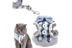 BIUCHJIU Escape-Proof Cat Kitten Harness with Leash Set Adjustable Soft Kittens Vest Walking Jacket Leash for Cats and Dogs (S)