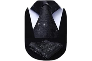 HISDERN Corbata Hombre Extralargas de Cachemira Flores Corbatas y Pañuelo de Bolsillo para Boda La Fiesta Formales