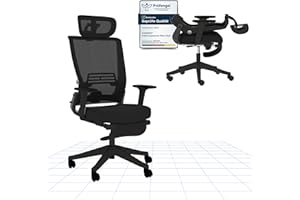 FLEXISPOT FOLDEX Silla de Oficina Ergonómica, Silla de Oficina Plegable con Apoyo Lumbar, Reposabrazos Regulables en Altura, Reposacabezas 2D, Silla de Escritorio de Malla para Oficina Casa-Panther