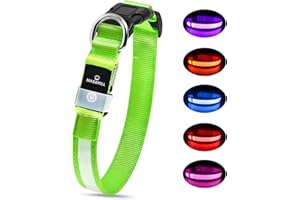 MASBRILL Collare Luminoso per Cani, Collare Cane LED Ricaricabile e Impermeabile, 3 Modalità d'ardore e Misura Regolabile Adatto per Cani di Taglia Piccola Media Grande, Verde L