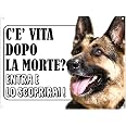 Adesivo XXL pastore tedesco cane auto cani sticker