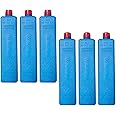 Folpus 6PCS Portable Ice Boxes Resuable Ice Packs Mini Ice Blocks for Cool Bags Long Lasting Freezer Blocks for Travel Beach Fishing Sports Camping BBQ Picnic Hiking