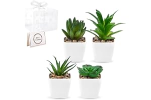 WOLTOY 4 Pack Mini Fake Succulent Plants Potted Small Artificial Greenery Plants in Pots Indoor Plastic Faux Plants for Home Bathroom Office Table Decoration Housewarming for Women