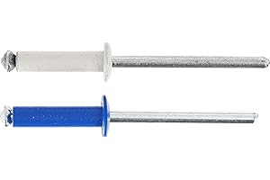 Restagraf - Rivets Épanouis Bleus, Blancs pour Plaques d'Immatriculation - Diamètre 4 mm - Longueur 26 mm - Réf. 225107 - Blister de 8, Gris/Bleu