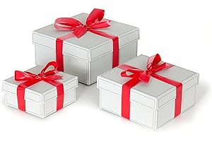 Lavatelli Set di 3 scatole regalo Perfect, con coperchio, carta velina e nastro, in cartone, misure differenti, ideali per incartare un dono e fare un pacchetto, riutilizzabili, scatola sorpresa