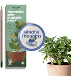 Matite Per Bambini Matite Piantabili Per Insegnanti - Set Da 32 Con Semi Di Fiori, Erbe E Verdure - Regalo Ecologico Set Matite Insegnanti Semi Fiori - 8