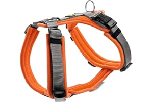 HUNTER Geschirr Maldon 60-91/M-L