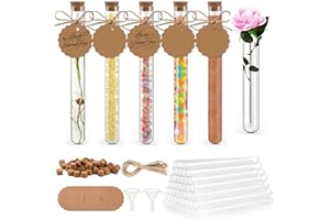 Zikenis 50 Stück Reagenzglas mit Korken,150 x16 mm Kunststoff Reagenzgläser mit Korken,mit 50 Stück Kraftpapieranhänger+50 Stück Hanfseil+2 Stück Trichter+50 Etiketten,für Liquids Bonbons Spices Deko