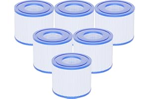 AQUALTRA Filtro S1 para Piscina, SPA Filtro Compatible con PureSpa Piscina Bomba 107 x 71 MM 6 Piezas