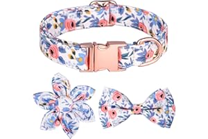 NICOLA Obroża dla psa, regulowane obroże dla psów z metalową klamrą szybkiego zwalniania, krawat i muszka, obroża dla psów (niebieska)