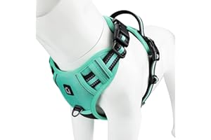 WALDSEEMÜLLER Harnais Chien Anti Traction, Réfléchissant Harnais De Chien Réglable Décourager Tirer Pet Gilet Durable en Nylon Harnais pour Chiens Moyen et Grand