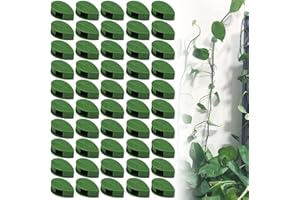 BESTEVERY 50 Stück Selbstklebend Pflanzenhalter, Kletterpflanzen Befestigung Wand, Pflanzen Verbinder Clip, Pflanzenclips Für Pflanzen Sicherung Unterstützt Einzupflanzen, Pflanzen Wand, Home Decoration
