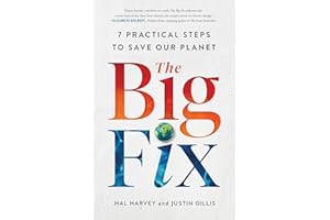 The Big Fix: Seven Practical Steps to Save Our Planet