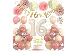 Froova 16th Birthday Decorations Retro Blush Pink Sweet 16 Girls Birthday Balloons Happy 16th Banner Cake Toppers Rose Gold Number 1 6 Balloon Pom Poms for 16 Year Old Bday Party Decoration Supplies