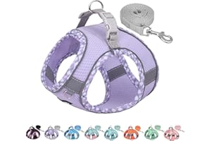 AIITLE No Pull Dog Harness and Leash Set, Step in Adjustable Dog Harness with Padded Vest for All Weather, Reflective Adjustable Pet Harness, Easy to Put on Small Dogs Purple S