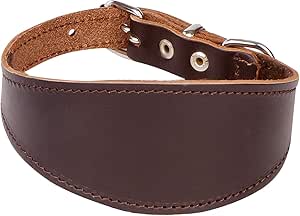 leather whippet collars