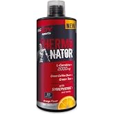 Bigjoy Thermonator L-Carnitine - Portakal Aromalı 1 Paket(1 X 1000 G)