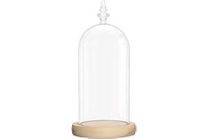 ‎BELLE VOUS Belle Vous Glas Glocke Glaskuppel Groß mit Holzboden – 26,5cm Dekorative Glashaube Als Tischdeko, Deko Glas Kuppel Transparent Glasglocke, Glass Dome Cloche mit Boden für Lichter, Deko, Wohnaccessoire