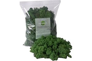 PHILARO Islandmoos - Echtes Naturmoos in 3 versch. Farben aus Schweden in 500g - 1kg Einheiten - konserviertes langlebiges Moos ideal zum basteln oder für Dein DIY Moosbild - Moos Naturgrün 1000g