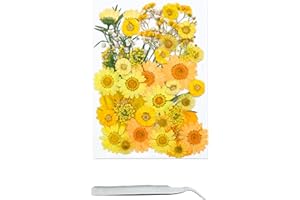 Cayway 40 Pcs Real Pressed Flowers Dry with Tweezers Set, Dried Pressed Flowers Real Pressed Flowers for Resin Scrapbooking DIY Art Crafts, Epoxy Resin Jewelry, Soap Making